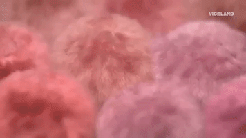 GIF by SLUTEVER