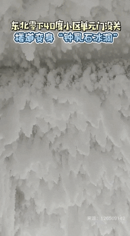 yj_jane giphyupload GIF