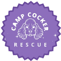Cocker Spaniel Sticker by Camp Cocker Rescue