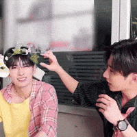Perth Perthppe GIF