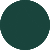 Lion Zoo Sticker by Prima