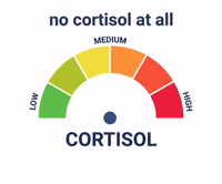 Ur Cortisol GIF