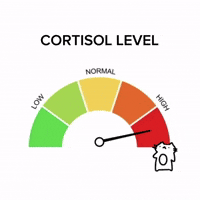 Cat Cortisol GIF
