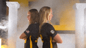 Tigers Missouri GIF by Mizzou Athletics
