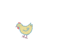 Bird Chicken Sticker