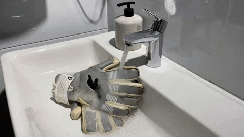 BraveGK giphygifmaker GIF