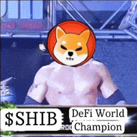 Shiba Inu GIF by SHIB MEMES