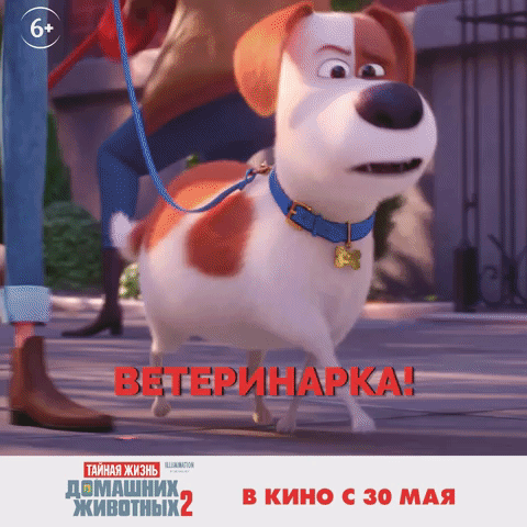 собака GIF