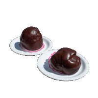 Bossche Bol Brabant Sticker by Ons Mam