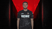 Sk Gaming Celebration GIF by Bundesliga