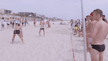 Tv Show Reaction GIF by LogoTV