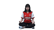 Arsenal Gunners Sticker by Shoot for Love