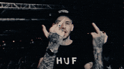Trampa laugh show rave finger GIF