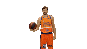 Liga Endesa Spinning Sticker by ACB