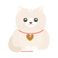 hoyabackgirl cat animals confused animal Sticker