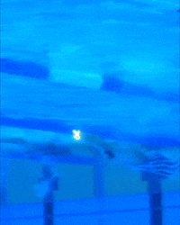 Olympic Games Olympics GIF by Team USA