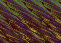 sperm GIF by A.M.T.G. G.G.