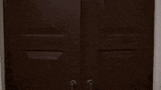 india berger paint GIF by bypriyashah