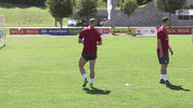 National Team Basketball GIF by ÖFB