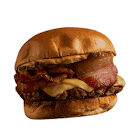 Hamburguer Sticker by Bullguer