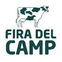 Camp Sticker by Més Menorca