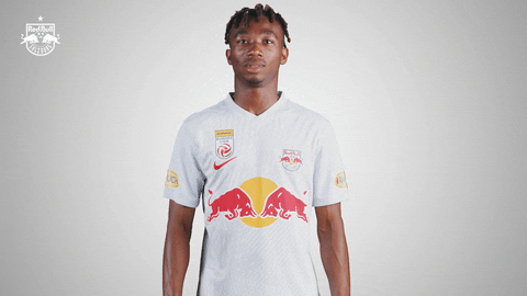 Football Sport GIF by FC Red Bull Salzburg