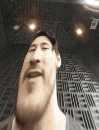 Why The Long Face GIF