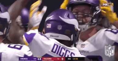 Minnesota Vikings Football GIF by NFL