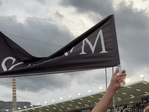 Serie B What GIF by Ascoli Calcio 1898