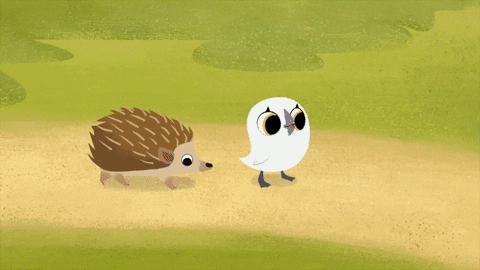 #puffin #rock #puffinrock #baba #spiky #bestfriends #puffling #hoglet GIF by Puffin Rock