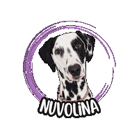 Cane Dalmata Sticker by Asilo per cani Dog'sMind