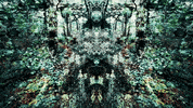 glitch art GIF by u̶͛͗̽ n̵͇ͨ g̵̼͂ l̵᷅ t̵̄ c̵̃͘ h̵͚ m̵͇͑e͔