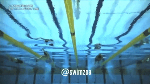 skillsnt giphyupload GIF