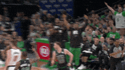 Happy Lets Go GIF by NBA