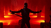 Rock N Roll GIF by Des Rocs