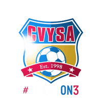Blaston3 Sticker by CVYSA