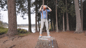 Gold Winner GIF by moonbug