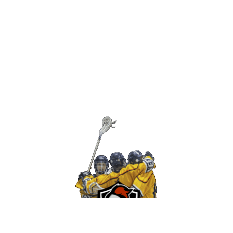 Teammates Sticker by Nepean Knights Jr C Lacrosse