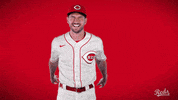 Albert Almora GIF by Cincinnati Reds