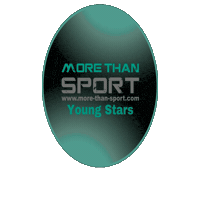 Mts Sticker by Morethansport