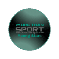 Mts Sticker by Morethansport