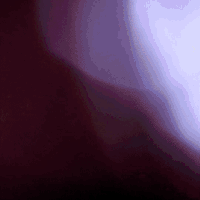 GIF by STAR