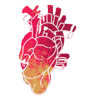 Heart Bounce Sticker