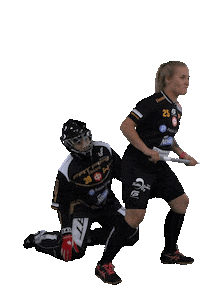 Floorball Salibandy Sticker by F-liiga