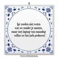 Humor Nl GIF by Tegelspreuken.nl