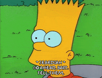 Season 1 GIF by The Simpsons