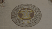 Texas Am Study GIF by Texas A&M University