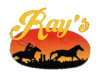 Horse Hat Sticker by Rays Bar