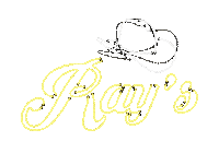 Horse Hat Sticker by Rays Bar