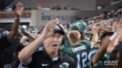 greenwave football athletics tulane green wave GIF
